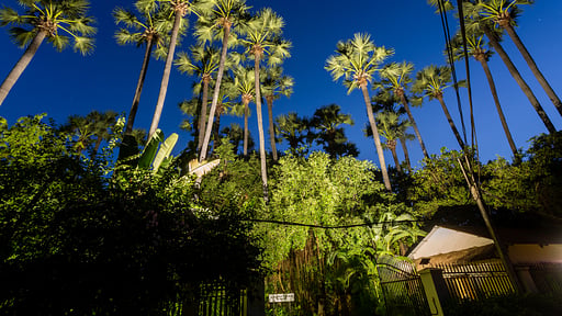 La Palmeraie Estate Garden