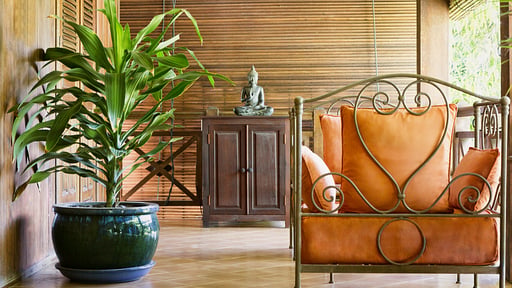 La Palmeraie Estate Terrace/Veranda