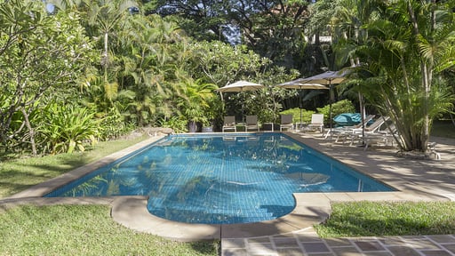 La Palmeraie Estate Swimming pool 2