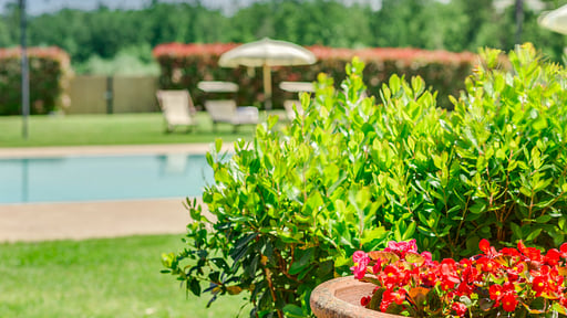 La Piccionaia Apartment Autres