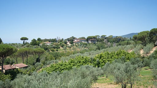 La Poetessa Alentours