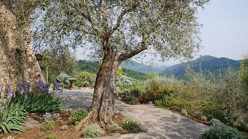 Villa La Sorgente Others