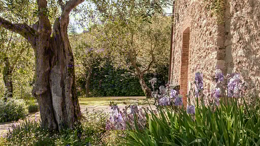 Villa La Sorgente Others