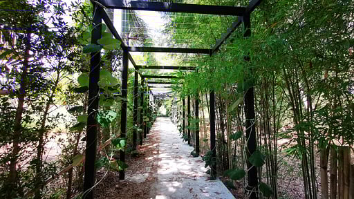 Laguna Villa Seventy Five Others