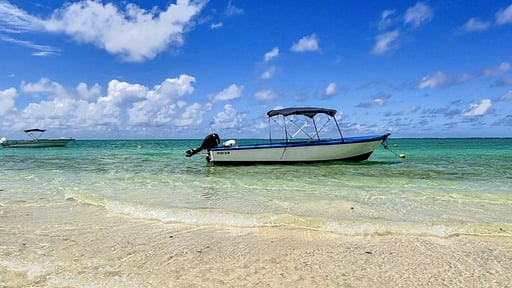 Le Dalblair Premium Others