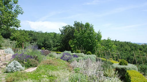 Villa Le Porciglia 12 Surroundings