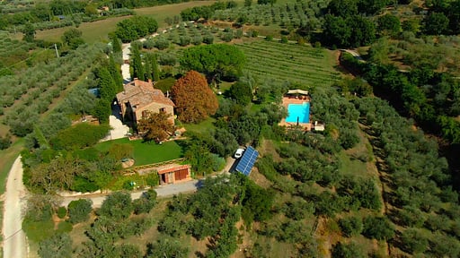 Leccino Drone pictures