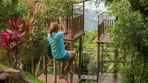 Lime Samui 15 Villa Others