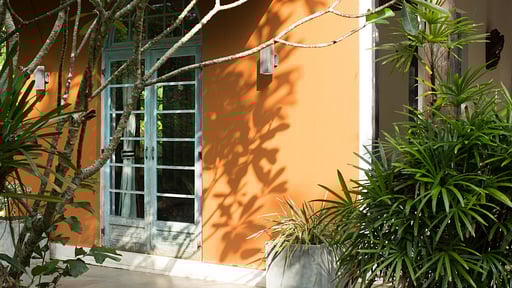 Little Cove House Garden