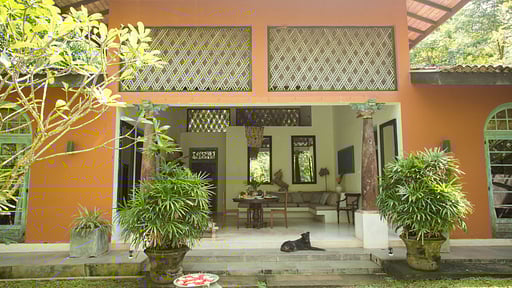 Little Cove House Garden