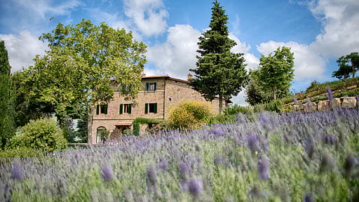 Luxury Chianti Two Others