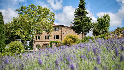 Luxury Chianti Four Others