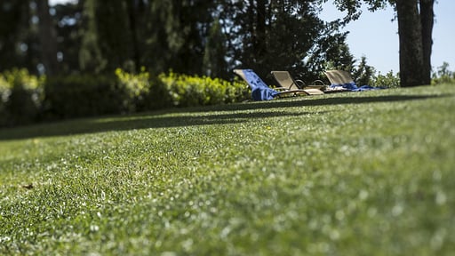 Luxury Chianti Four Others