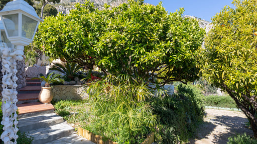 Luxury Villa Club 10 Garden