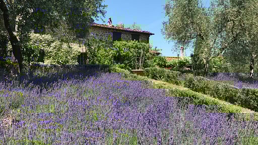 Villa Macennere Surroundings