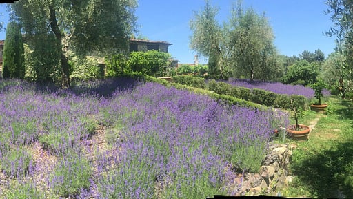 Villa Macennere Surroundings