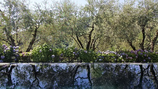Villa Macennere Swimming pool
