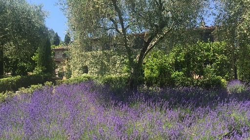 Villa Macennere Surroundings