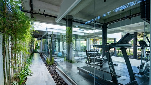 Mandala Oasis Gym
