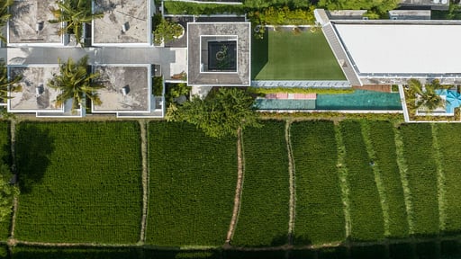 Mandala Oasis Drone pictures