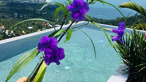 Manu Villa 1 Swimming pool