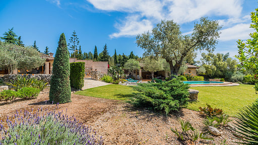 Les Rotes Sanchez Garten