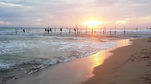 ME Villa Surroundings