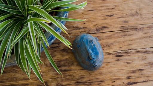 Mia Estate Прочее 