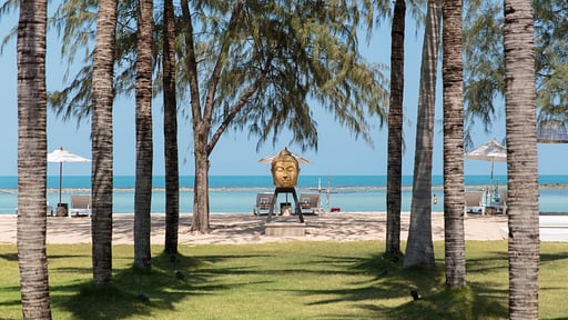 Mia Estate Прочее 