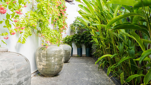 Mia Ocean Villa Otros 