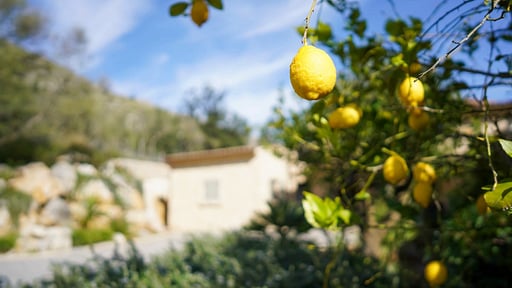 Villa Michelle Otros