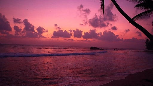 Mihiri Beach House Beach