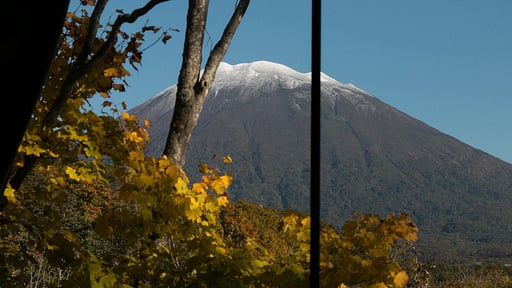 Millesime House Others