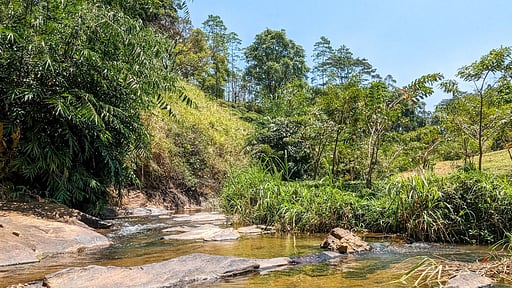 Misty Villa Alentours