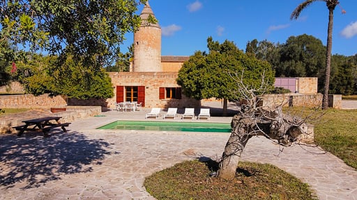 Moli House Swimming pool