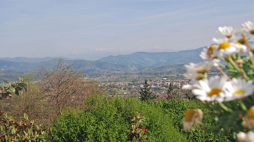 Villa Montefiore Others