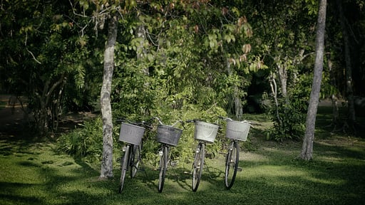 Nisala Arana Jardín