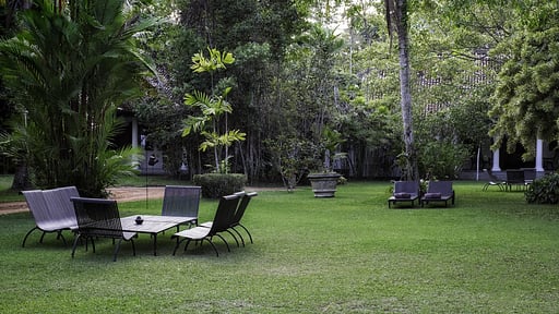 Nisala Arana Jardín