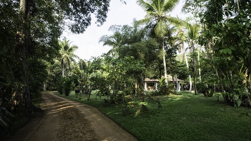 Nisala Arana Jardín