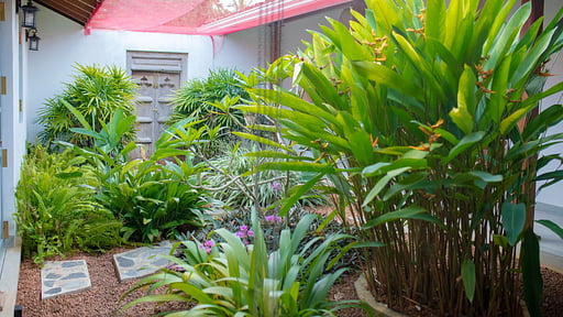 Oak Tree Villa Others 