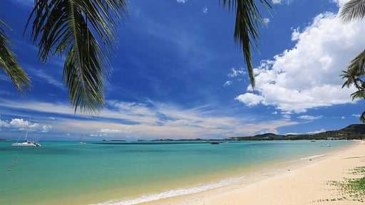 Oasis Pool Villa Others 