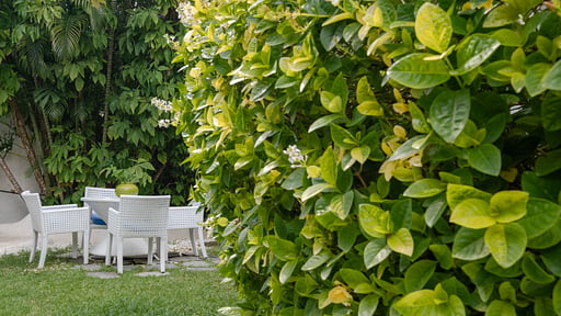 Ocean Luxury Villa 2 Garden
