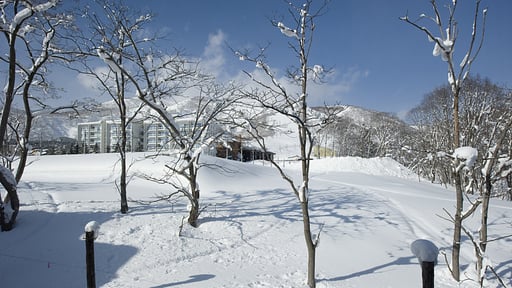 Old Man Creek B Surroundings