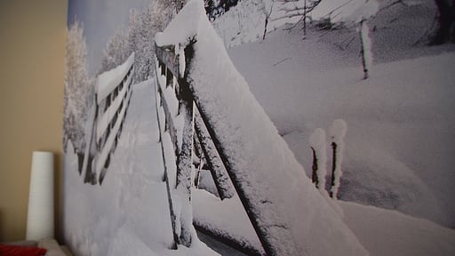 Old Man Creek B Others