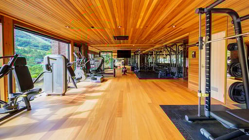 One Happo Chalet Gym