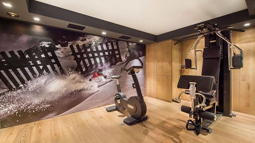 Chalet Overview Gym