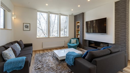 Owl House Living room