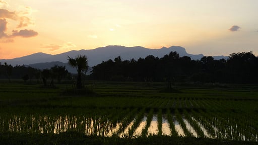 Pa Sak Tong Estate Surroundings