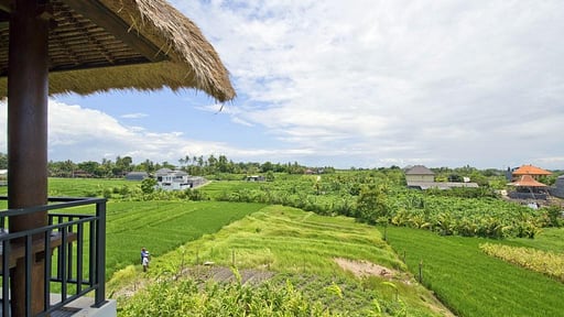 Paddy View Villa Alentours