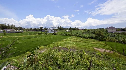 Paddy View Villa Alentours